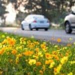Spring Vehicle Safety Checklist