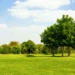 Elgin Park