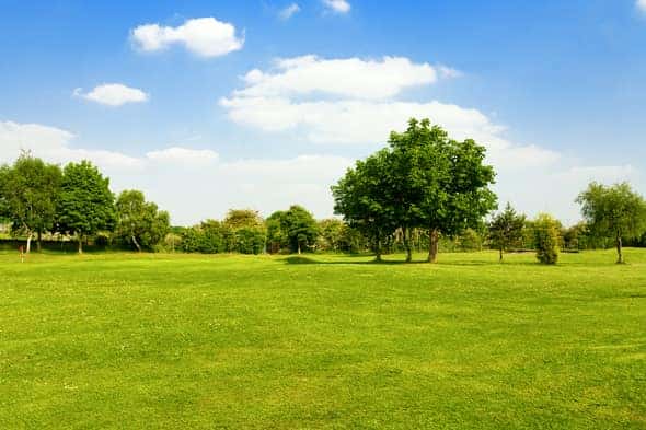 Park
