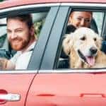 family and dog in car