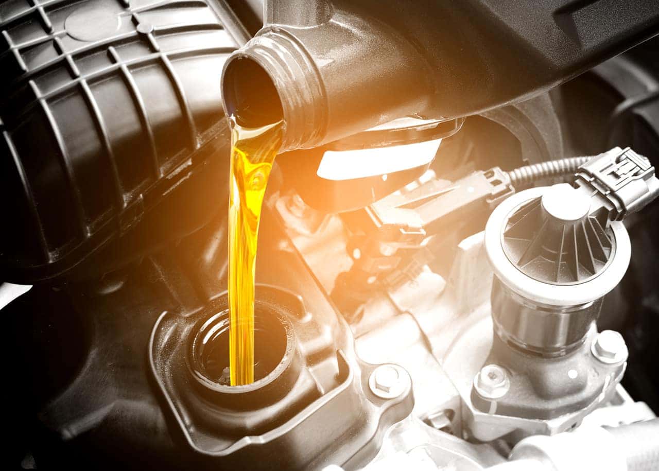 Oil Change Wesley Chapel