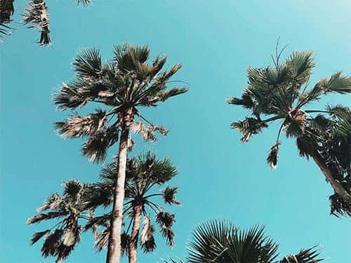 The Guide To Things To Do In Brownsville TX