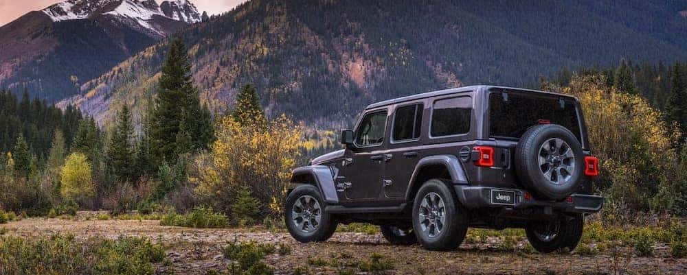 2019 wrangler models