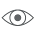 VISION PLAN