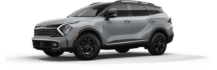 Wolf Gray