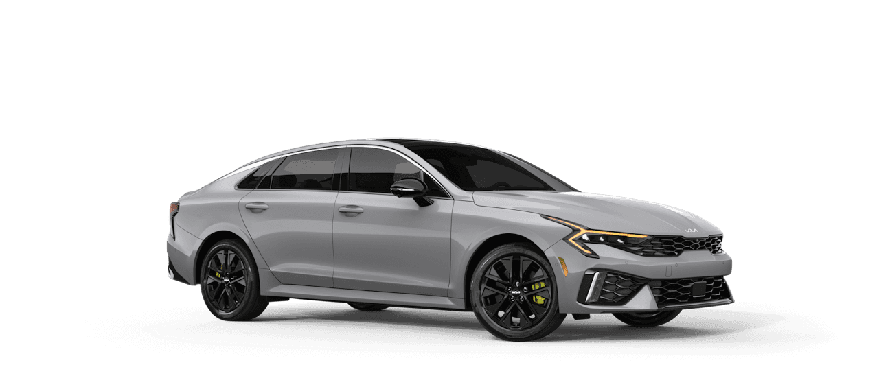Wolf Gray