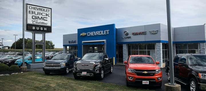 Bush Auto Place