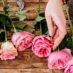 a florist cutting and arranging various flowers on a wooden table top