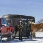 Ford F-150 towing a horse trailer