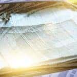 sun screen in car windshield