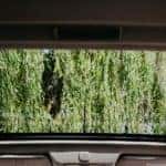 panoramic roof close-up