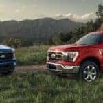2023 Ford F-150 trucks in a field