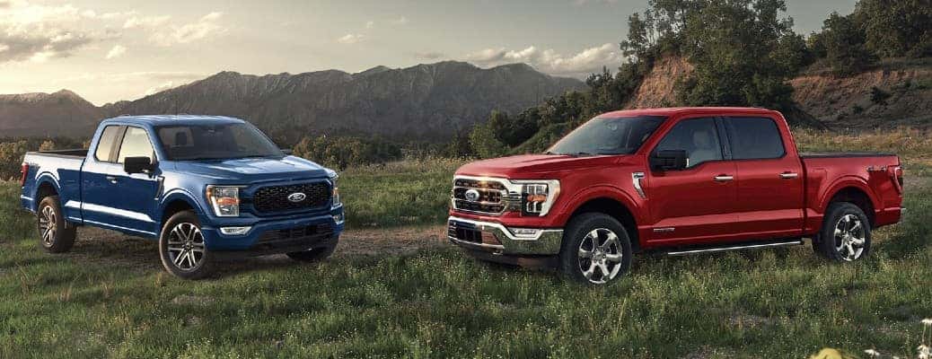 2023 Ford F-150 trucks in a field
