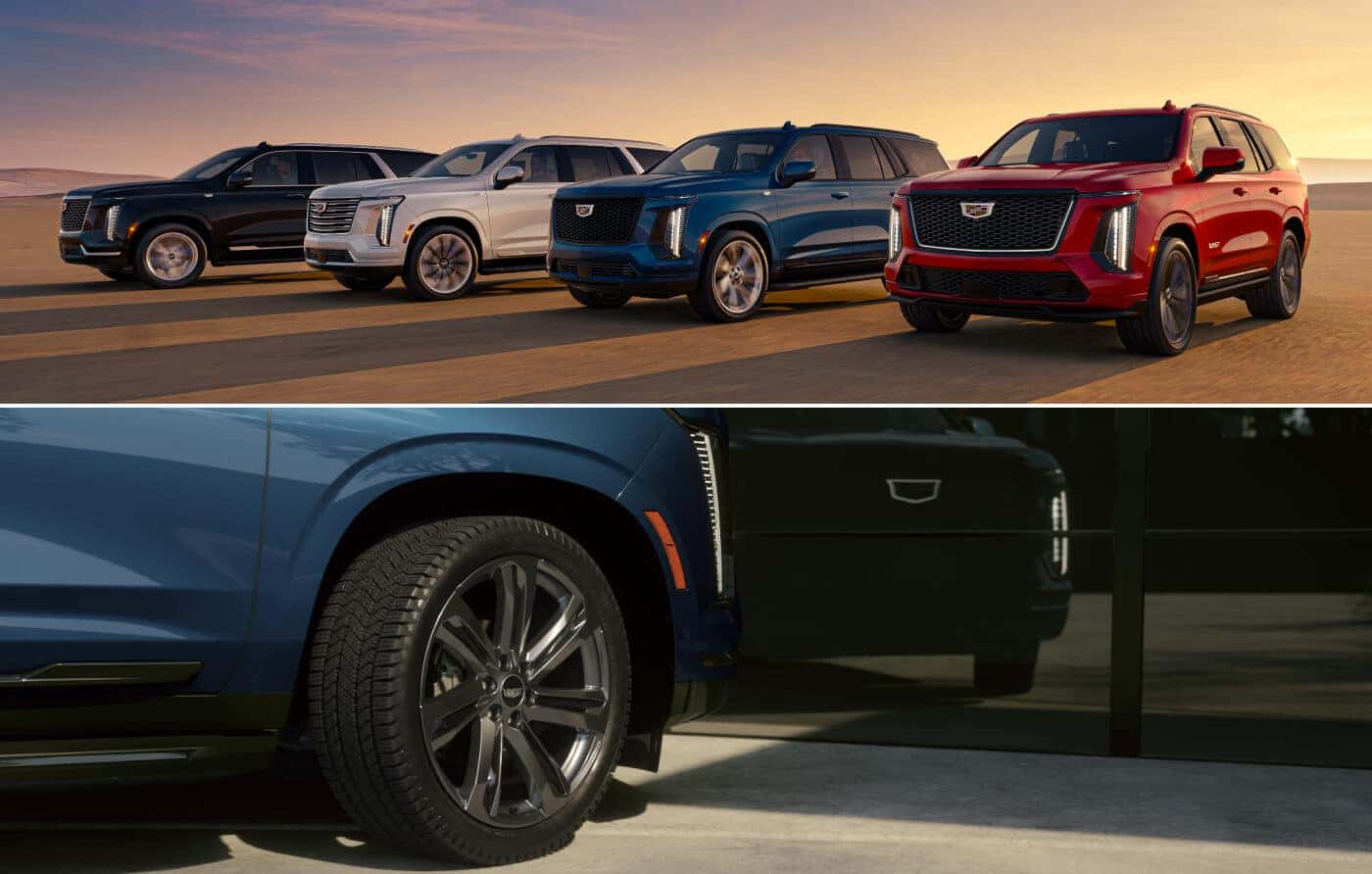Where Can You Find Used SUVs Near Canton, GA?