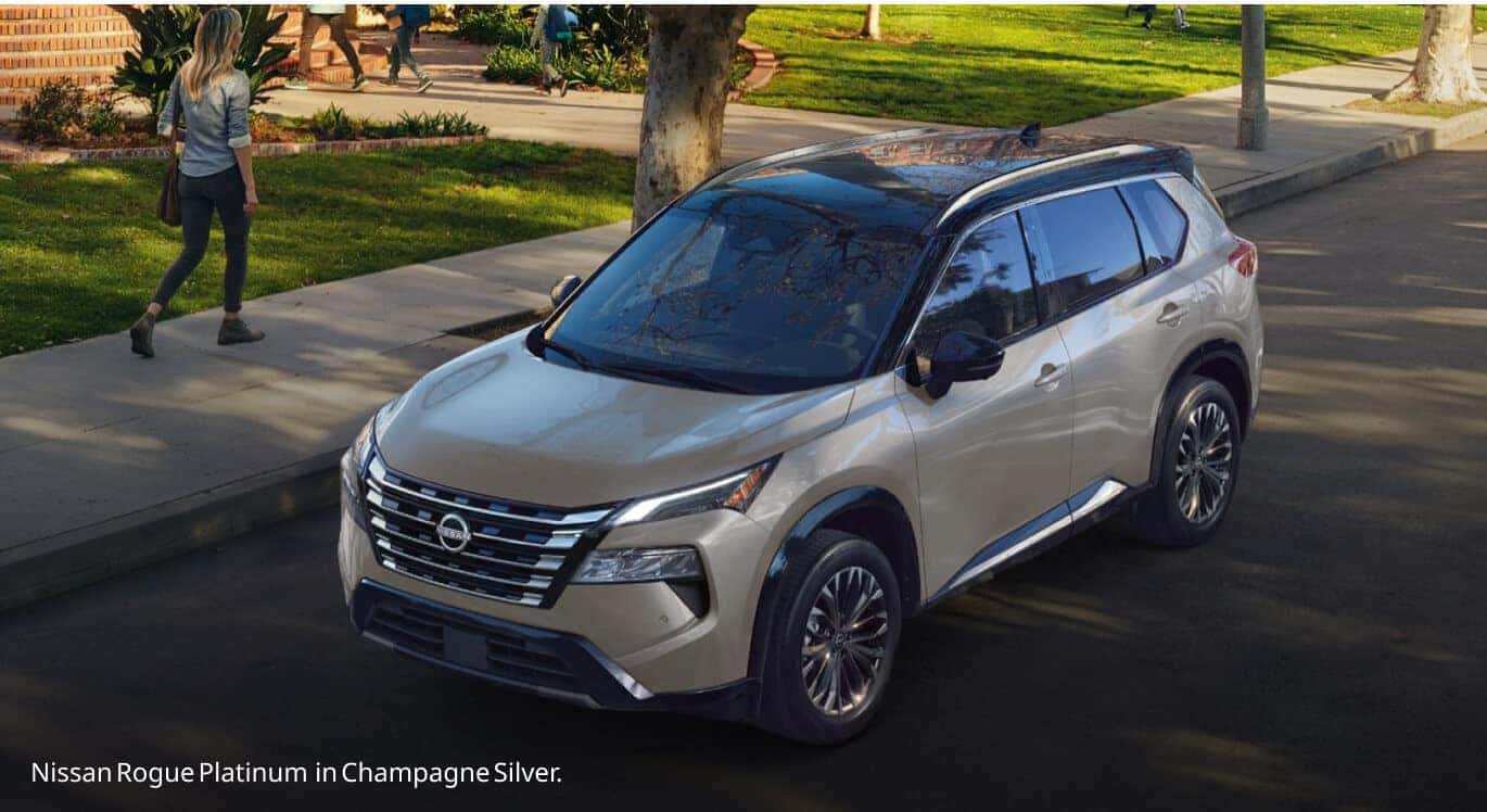 High-angle front three-quarter view of a Champagne Silver Nissan Rogue Platinum parked curbside near a park sidewalk.
