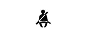Driver Safety Belt Light