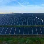 solar panels under a blue sky