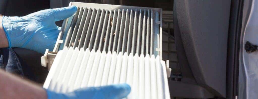 blue hands holding a car air filter