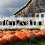 Photo of barn with pumpkins in yard and "Fall Activities and Corn Mazes Around Orlando FL 2019" black overlay text