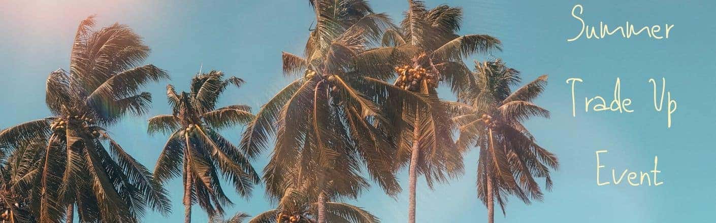 Palm trees on a clear sky. Yellow-tinted text reads, "Summer Trade Up Event."