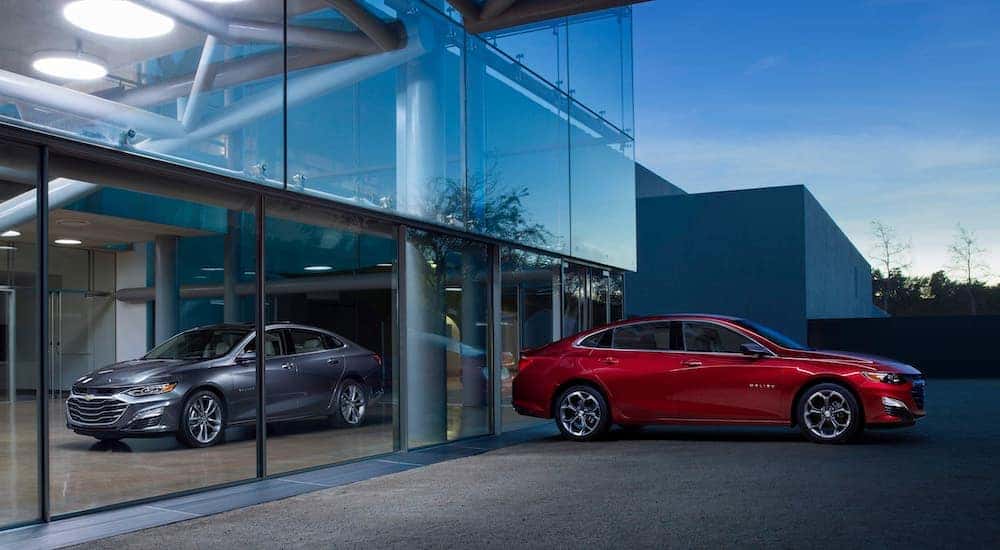 A grey and a red 2019 Chevy Malibu are at a dealership with large glass windows.