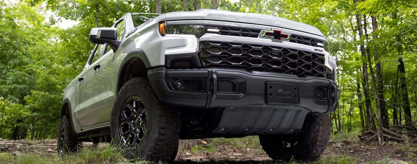 White 2025 Chevy Silverado 1500 for sale near Windsor parked in a forest.