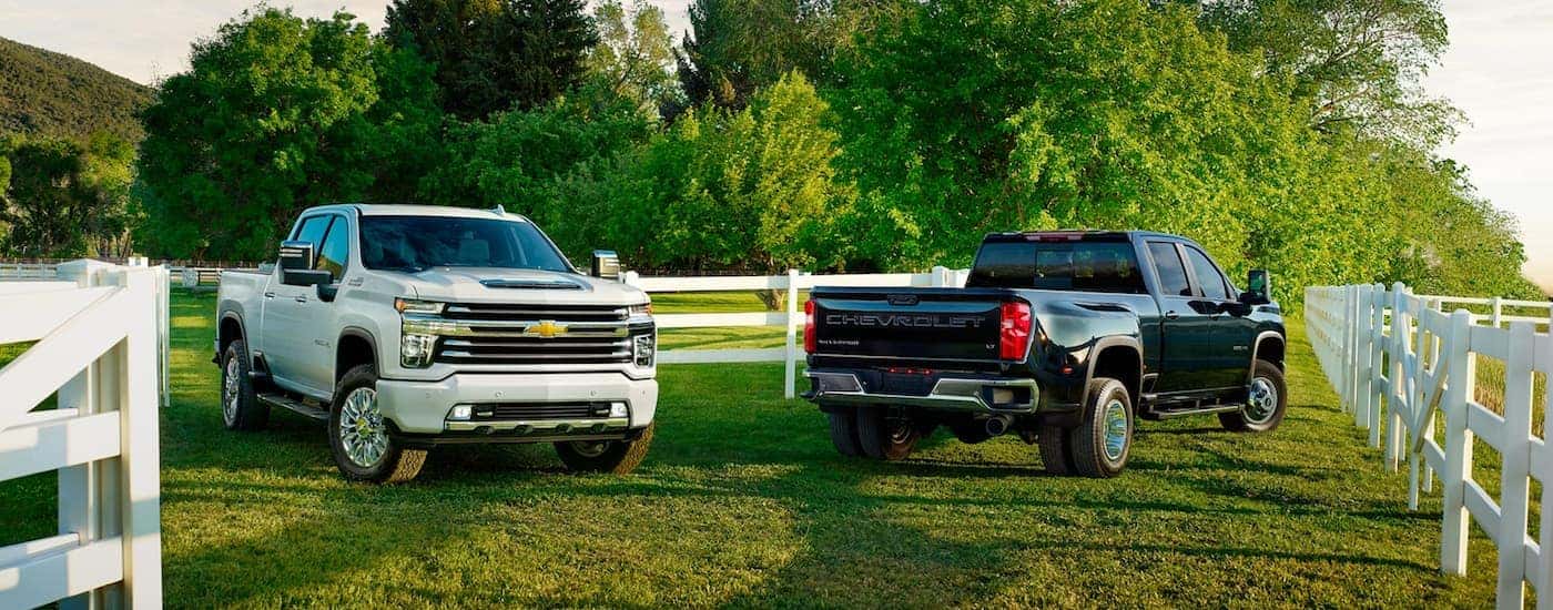 Two 2020 Chevy Silverado HDs for sale near Windsor parked side by side