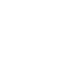 checkmark icon