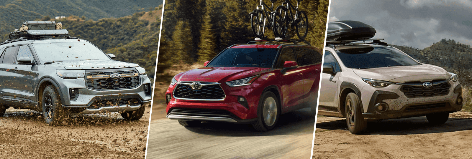 variety of cars to sell and buy