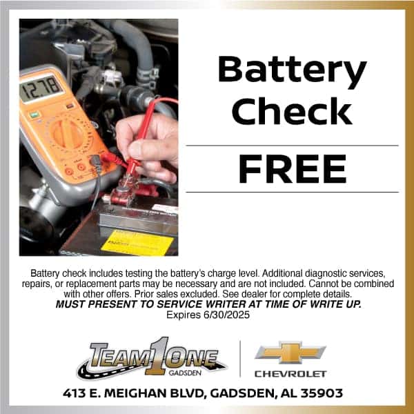 Free Battery Check