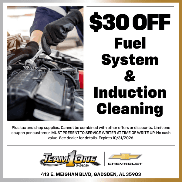 Fuel System & Induction Cleaning Special