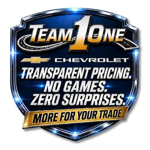 team 1 transparent pricing