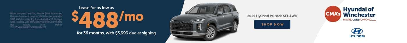 CMA_0625_Hyundai_WHY_Palisade_1400x150