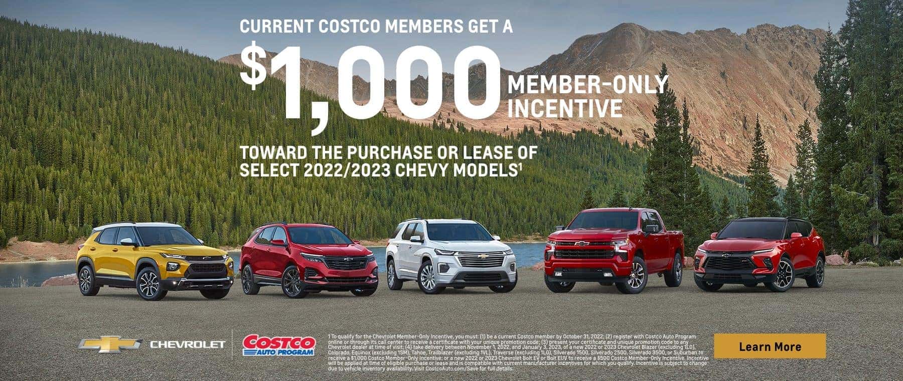 Costco Member offer