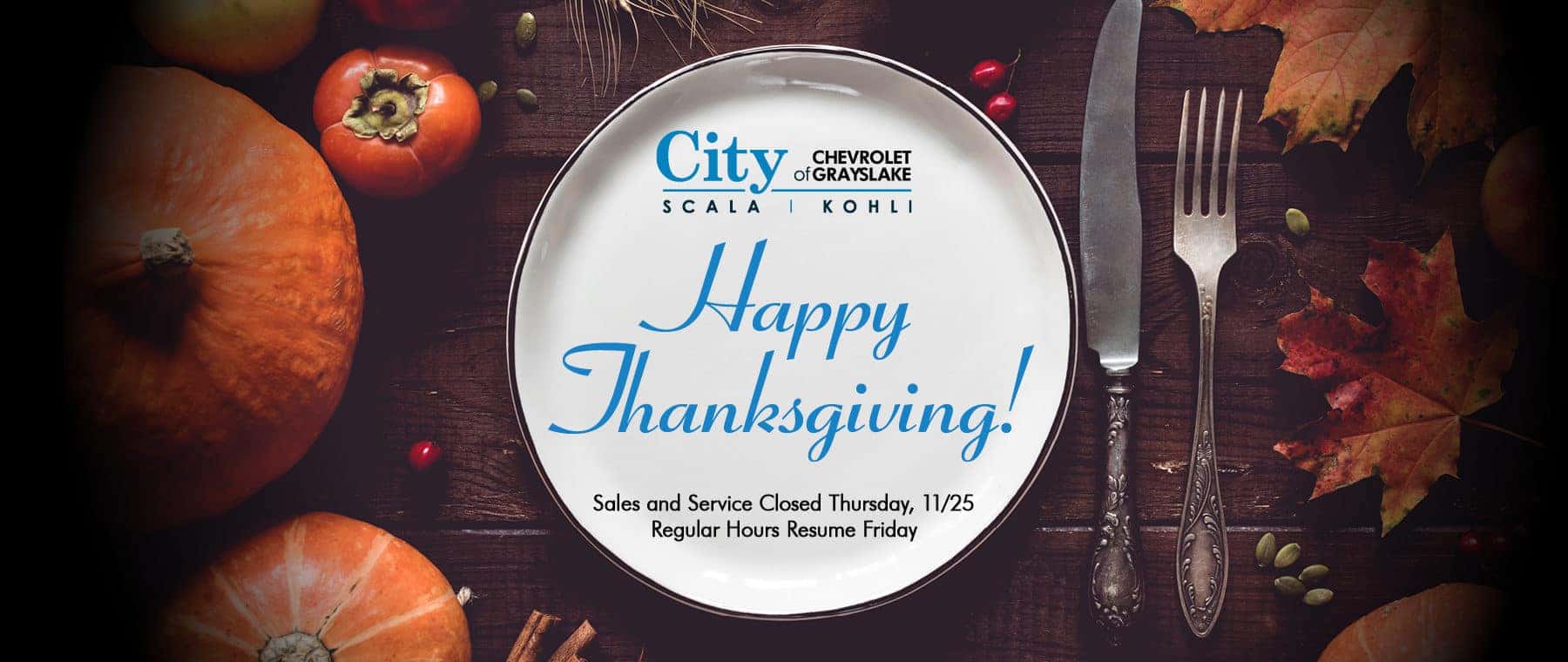 SKA-21-0176 November Promotions – THANKSGIVING BANNERS_ v2 1920×760 grayslake