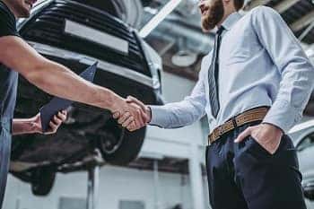 Used Car Dealer