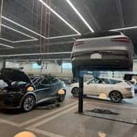 Choosing the Right Oil for Your Genesis