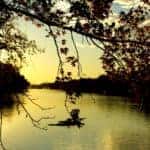 Sunset on the Warrior River with oak tree and gum tree.
