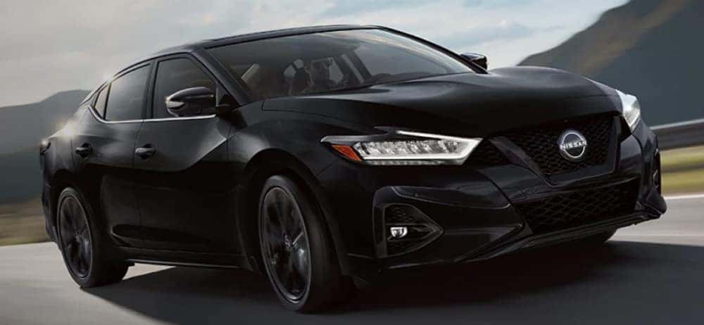 2023 Nissan Maxima