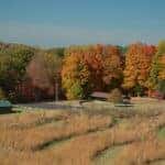 park
