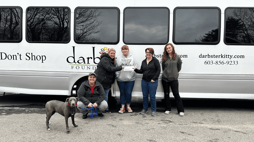 Darbster dog clearance