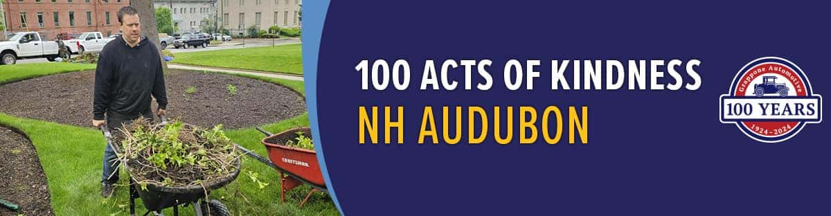 Image of team member working with wheelbarrow and the text: 100 Acts of Kindness: NH Audubon