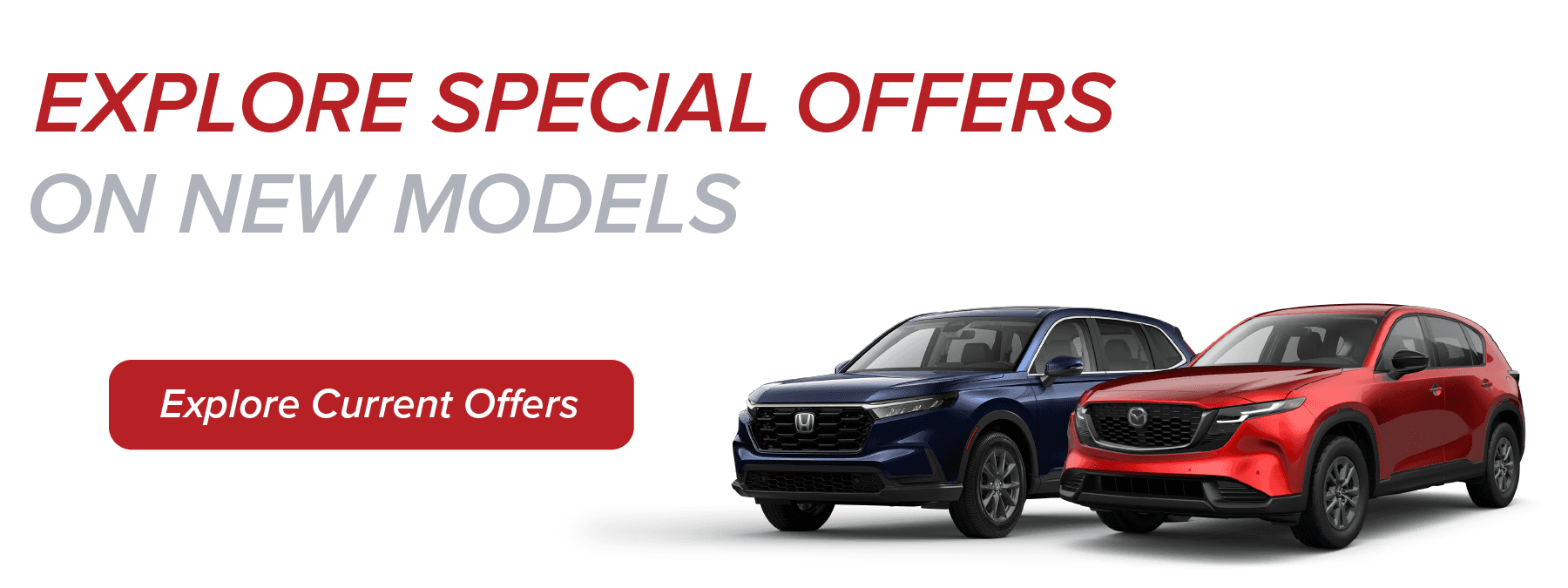 Special Offer Banner