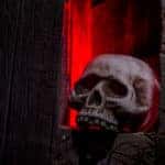 Scary Halloween skull sitting in a window in an old abandoned wood building lit with red light
