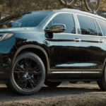 Green Honda Pilot in a Wooded Area