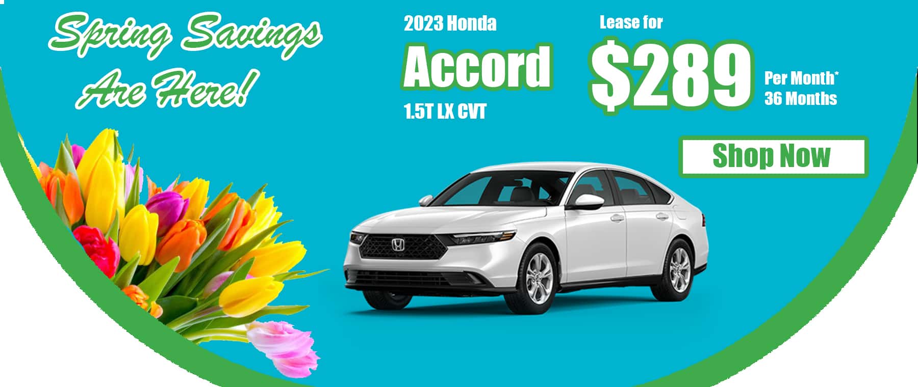 DH March 2023 Accord Spring 2