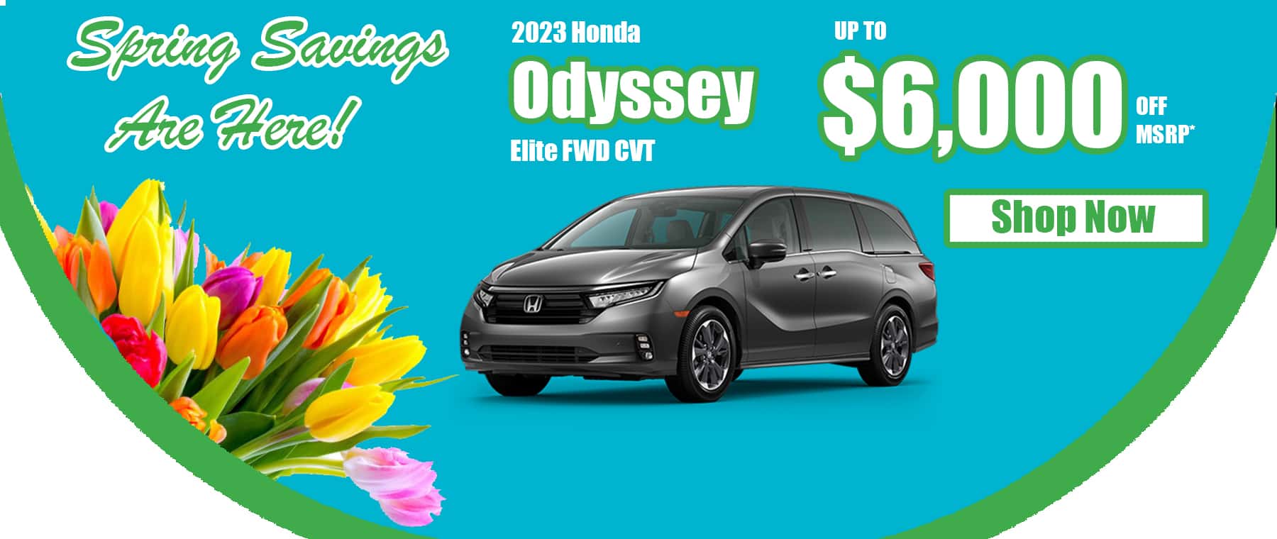 DH March 2023 Odyssey MSRP Spring