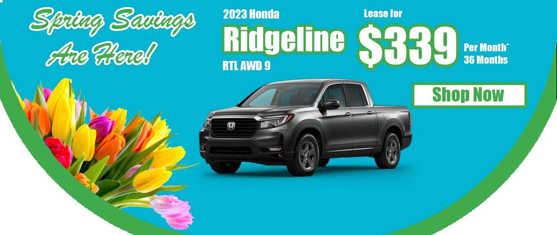 HN March 2023 Ridgeline Spring