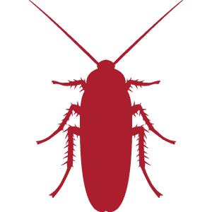 Pest