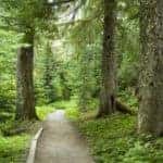 Hiking Trails